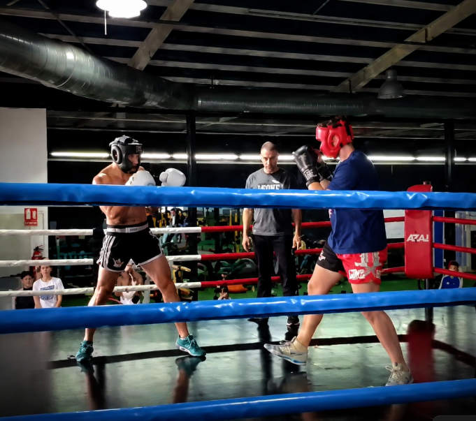 Recursos y guías de preparación física para deportes de combate