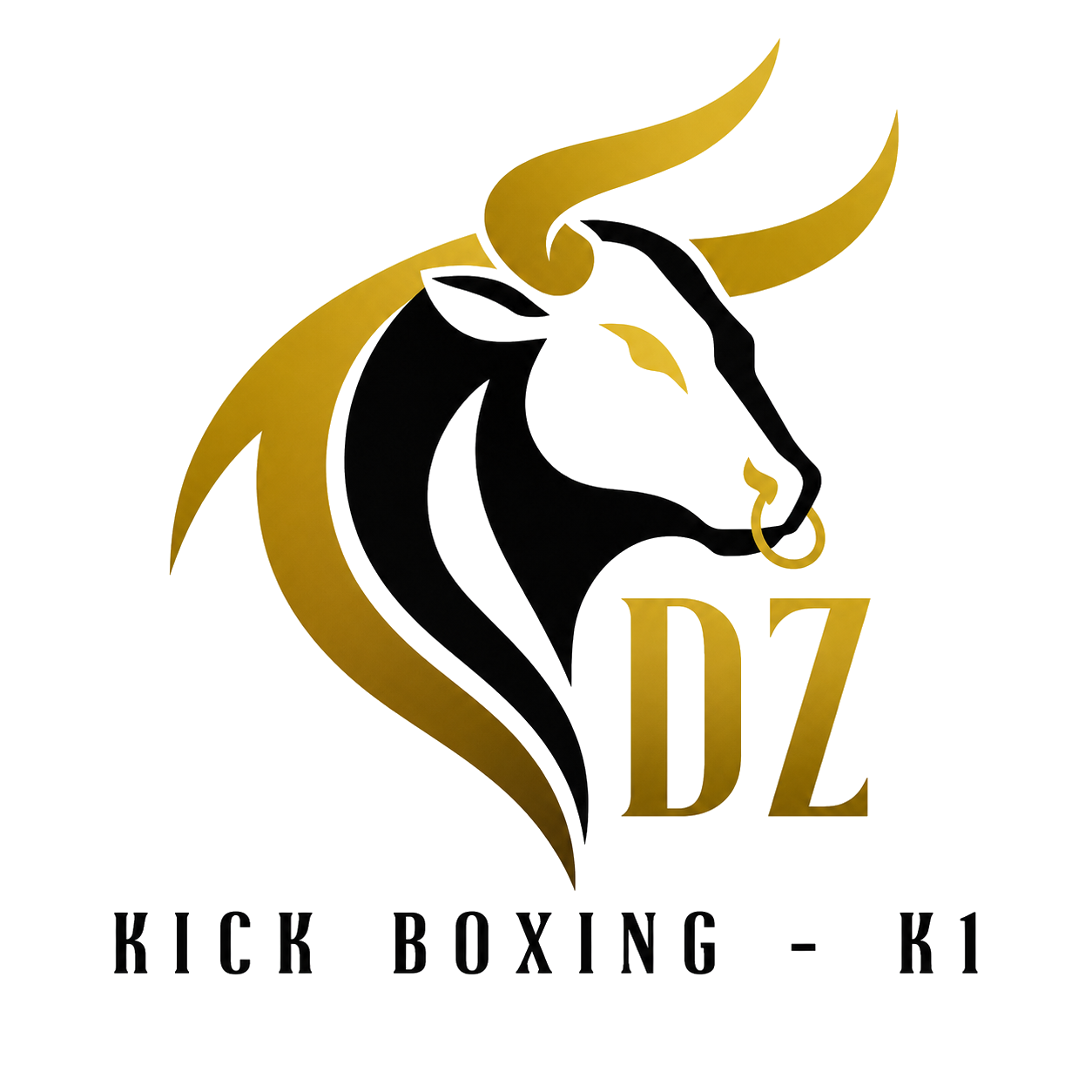 DZ Kick Boxing/K-1 Logo